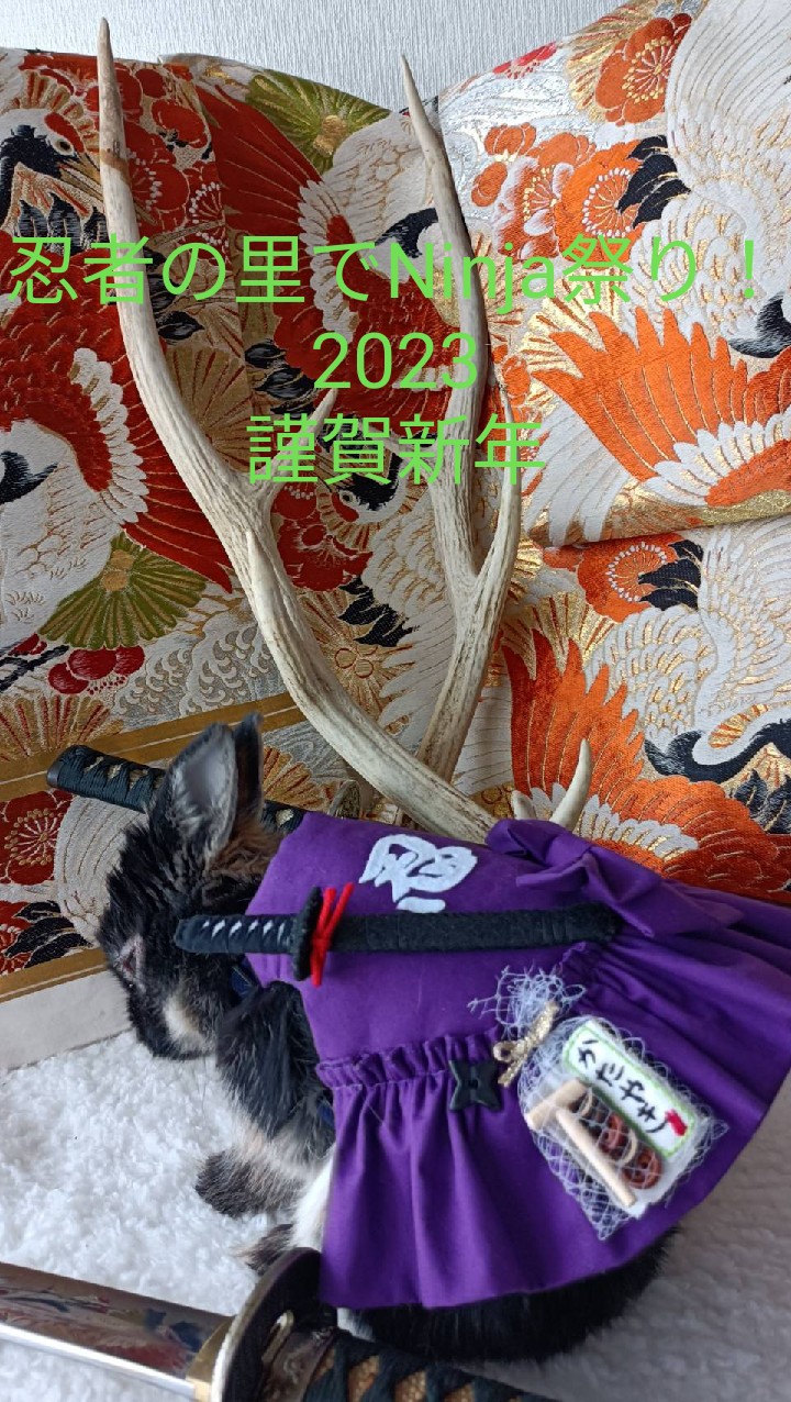 投稿 No. 167 の添付画像